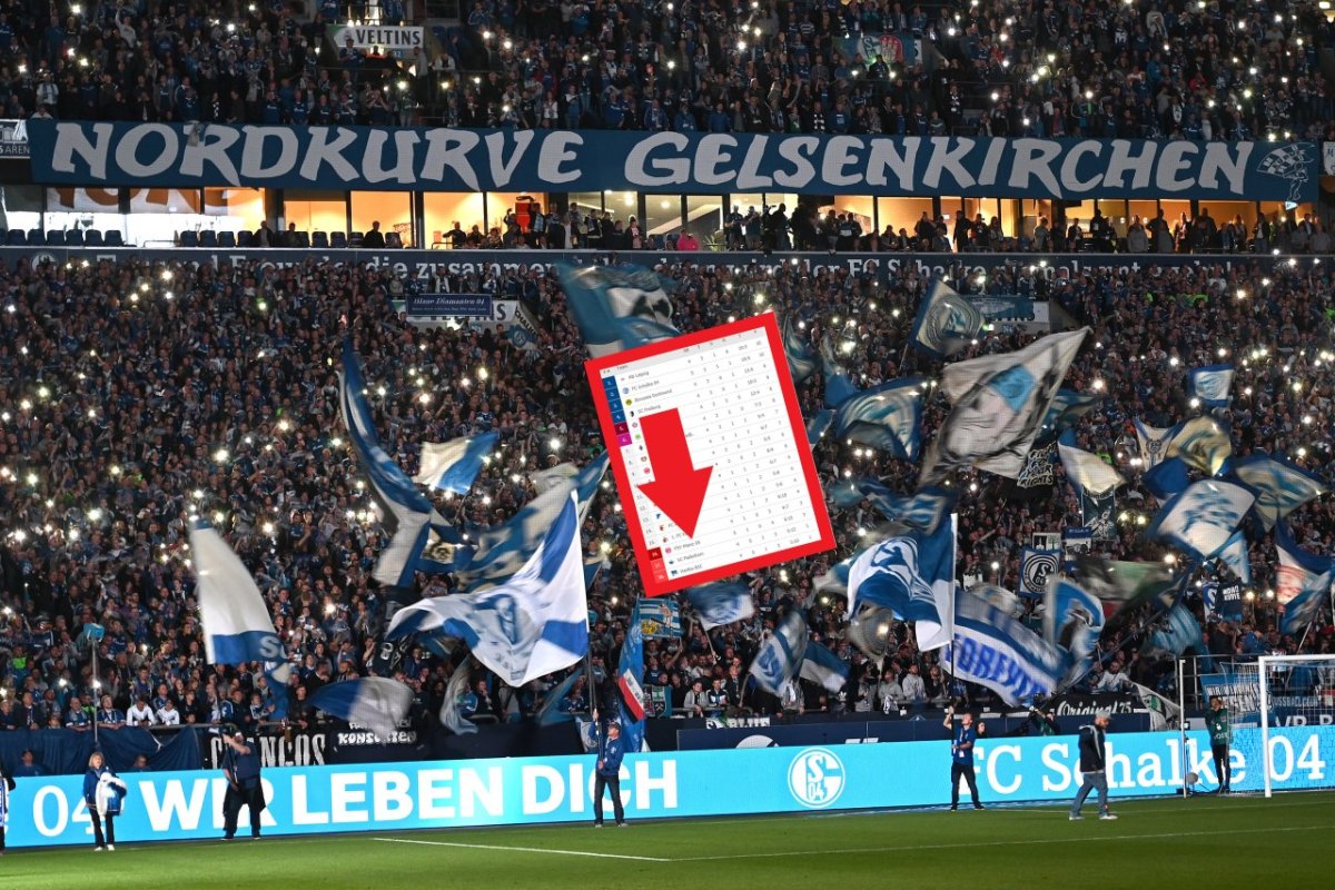 schalke-fans