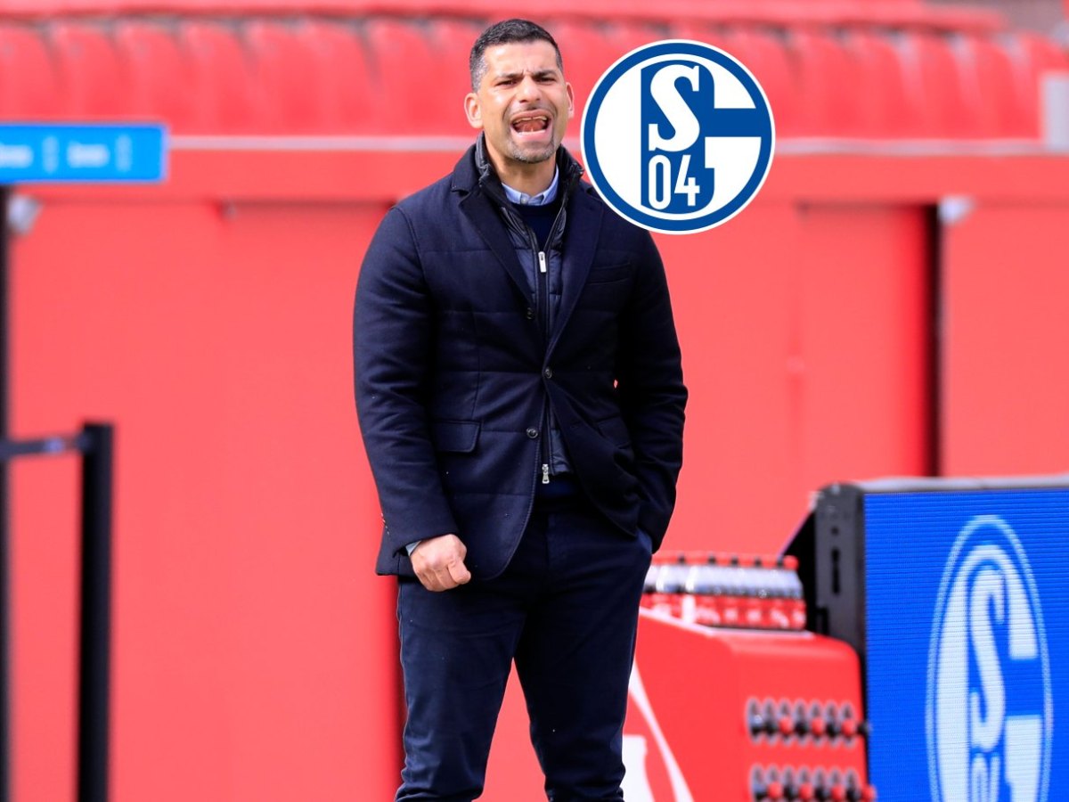 schalke-grammozis.jpg