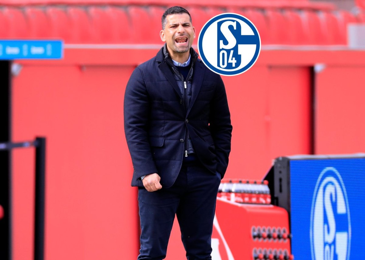 schalke-grammozis.jpg