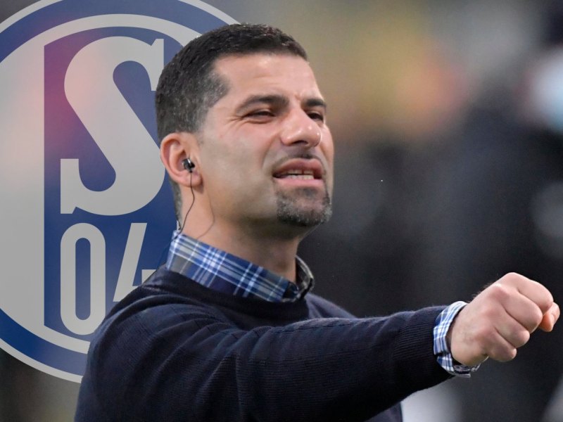 schalke-grammozis.jpg