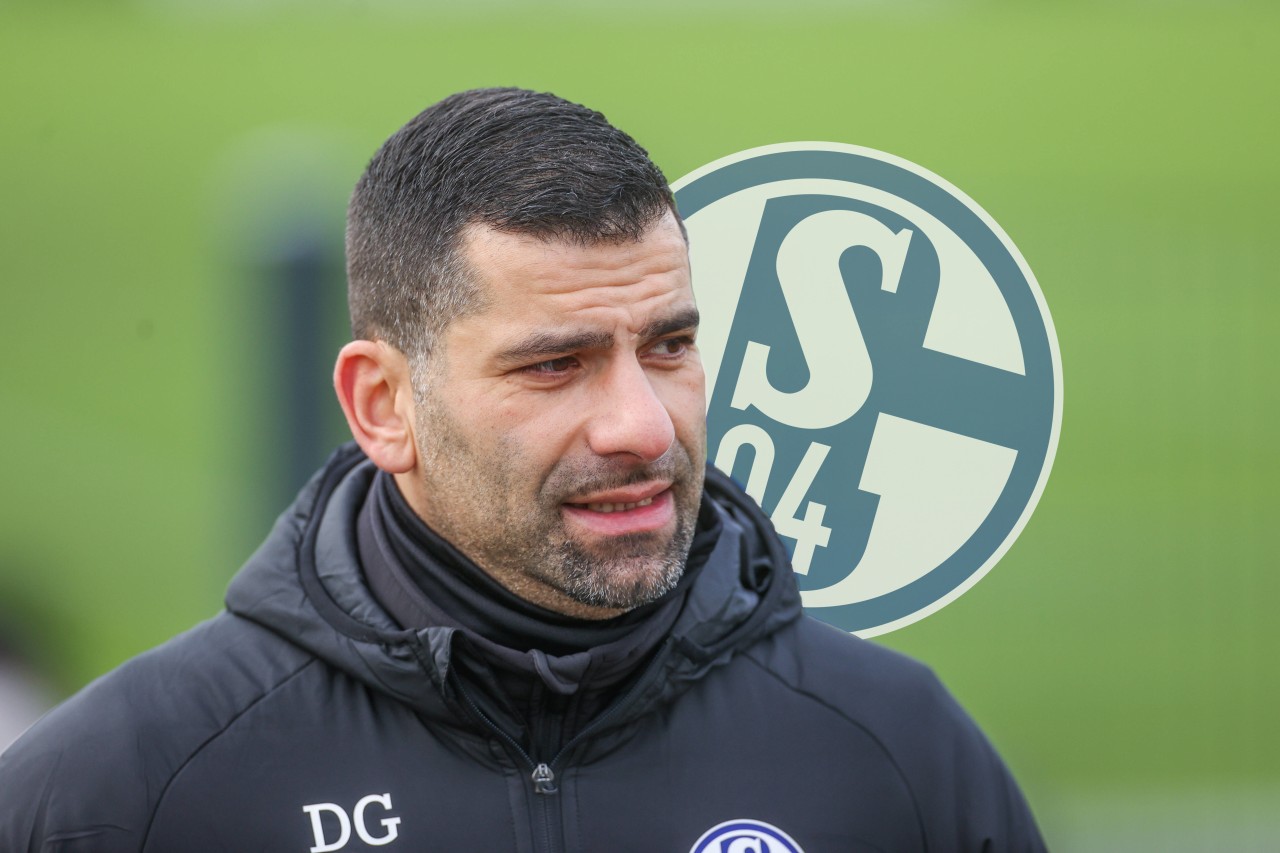 Hat der FC Schalke 04 die Trainer-Entscheidung schon gefällt?