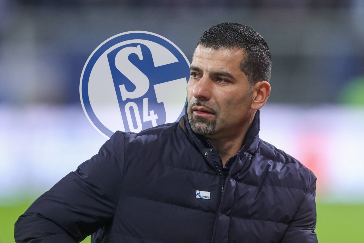 Beim FC Schalke 04 hat Trainer Dimitrios Grammozis eine steile These aufgestellt.