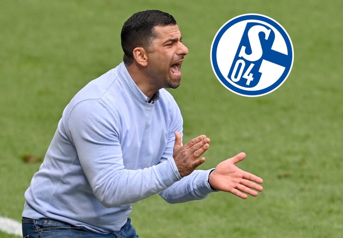 schalke-grammozis-hertha