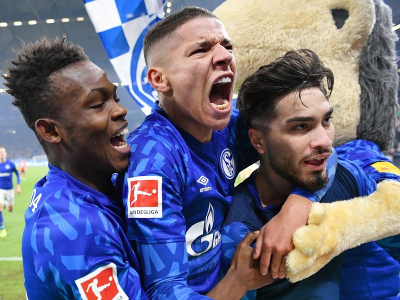 schalke-harit