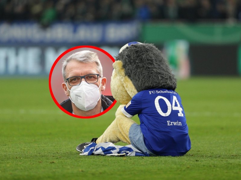 schalke-knaebel.jpg