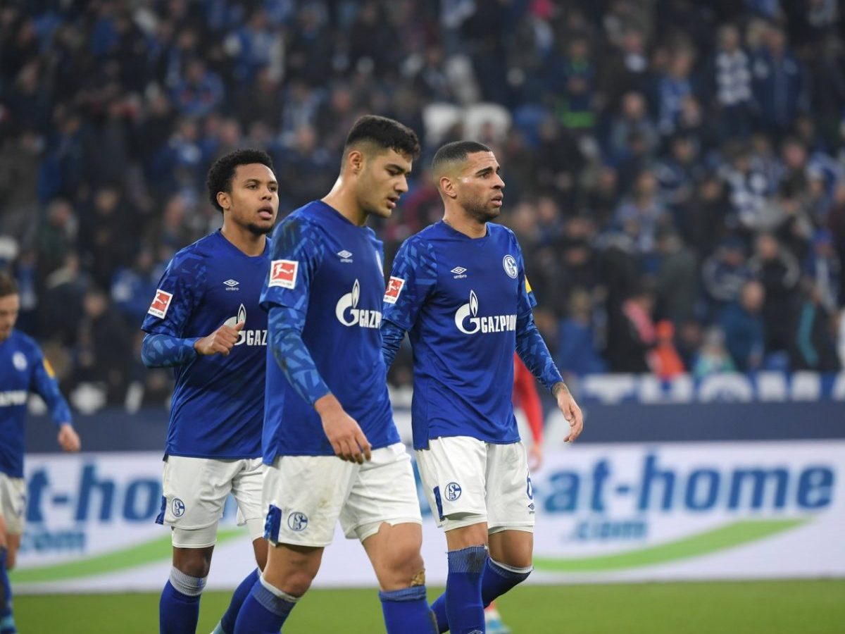 schalke-mckennie.jpg