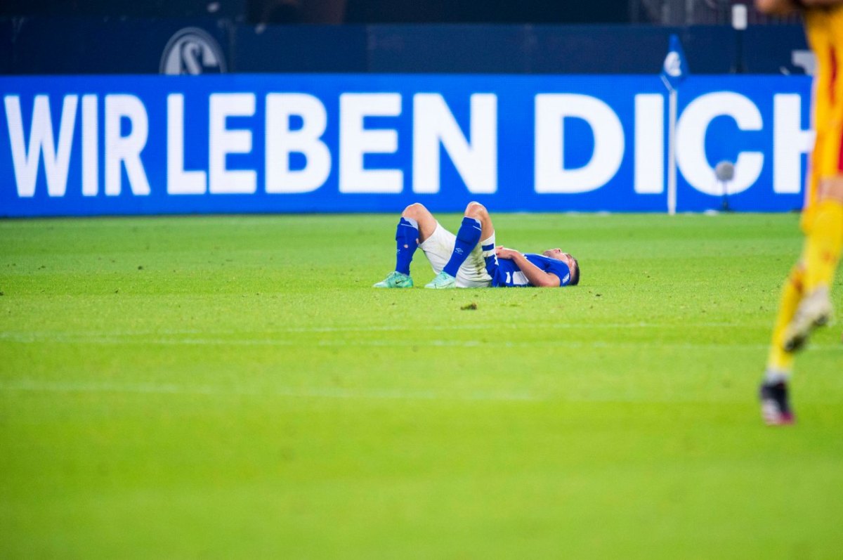 schalke-mehmet-aydin.jpg