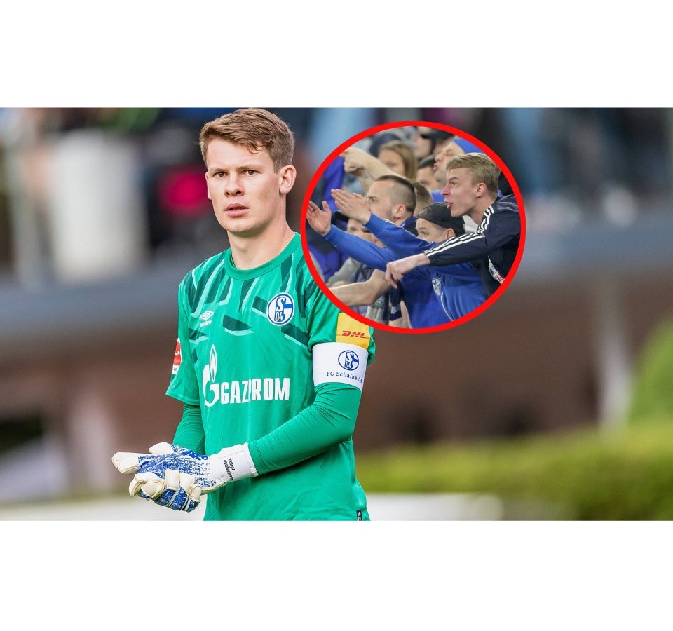 schalke-nübel