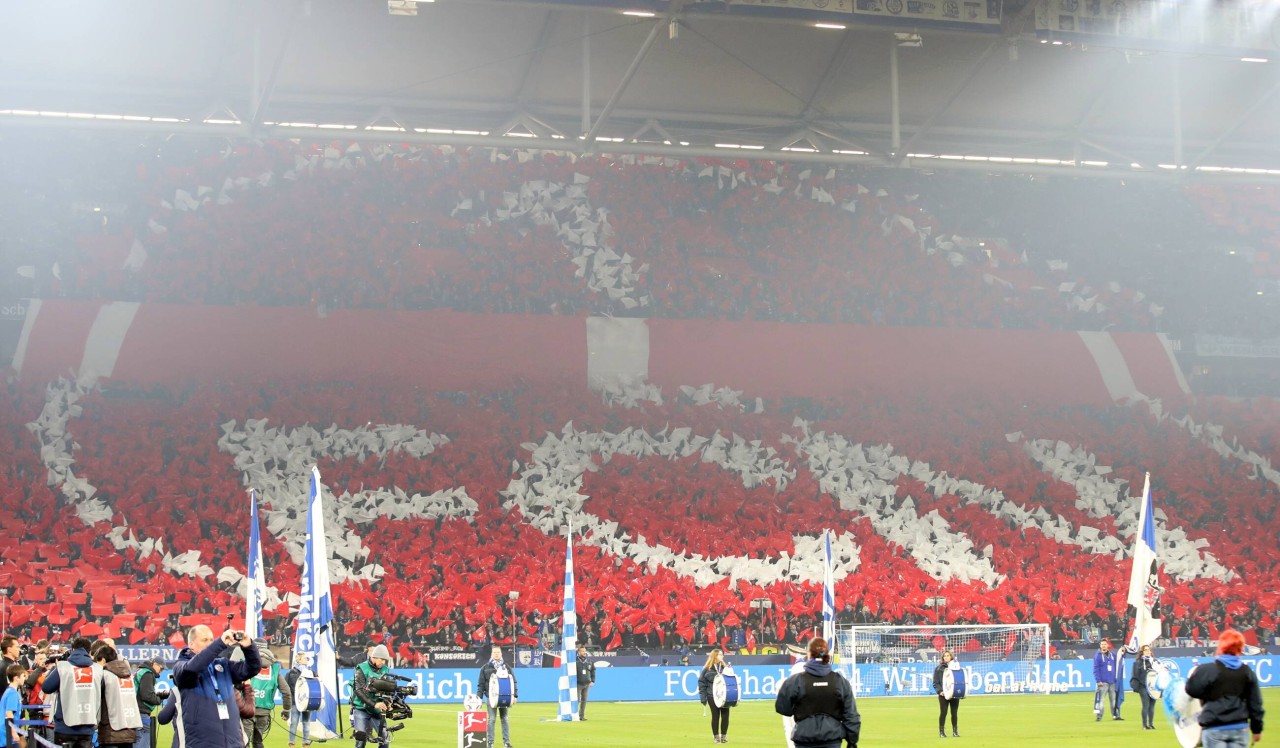 Die Schalker Nordkurve erstrahlt in ungewohnten Farben.