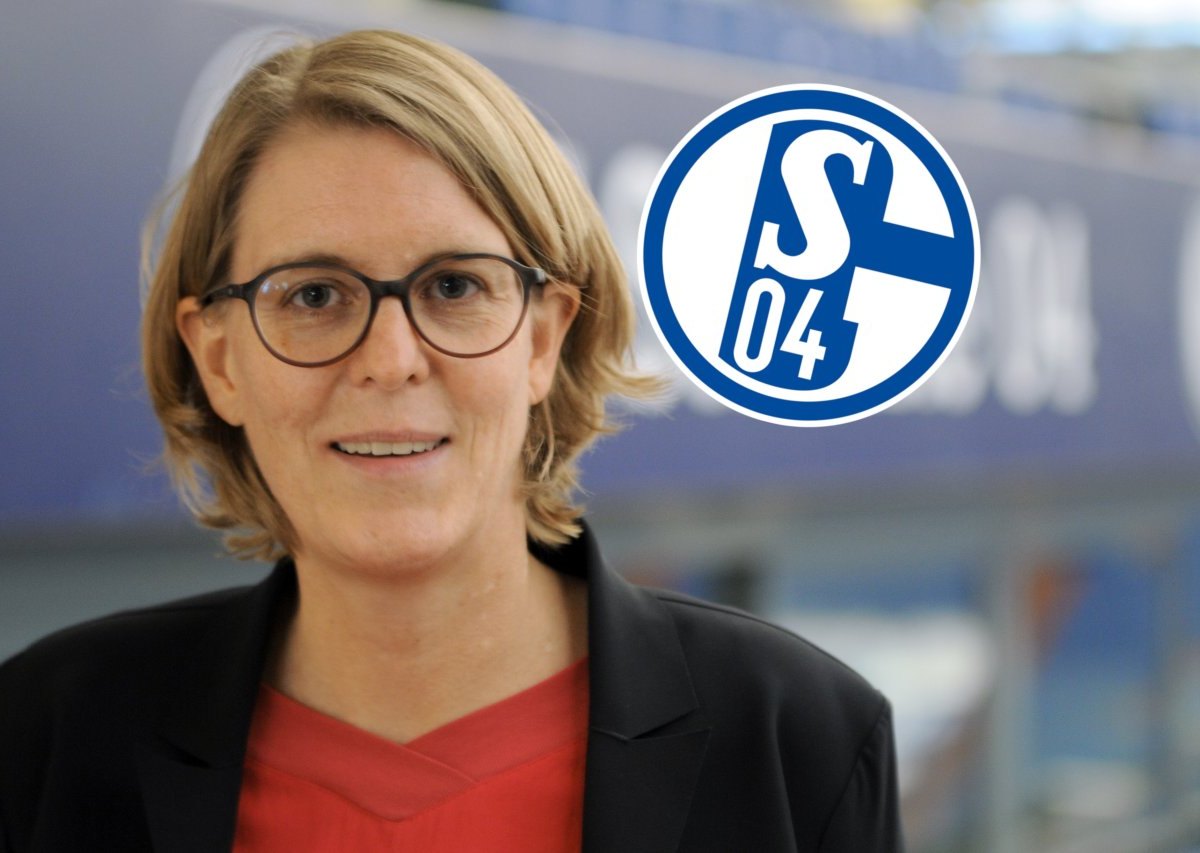 schalke-rühl-hamers