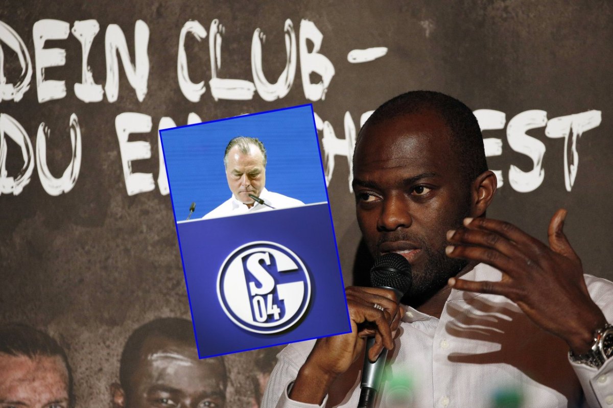 schalke-sarpei-tönnies