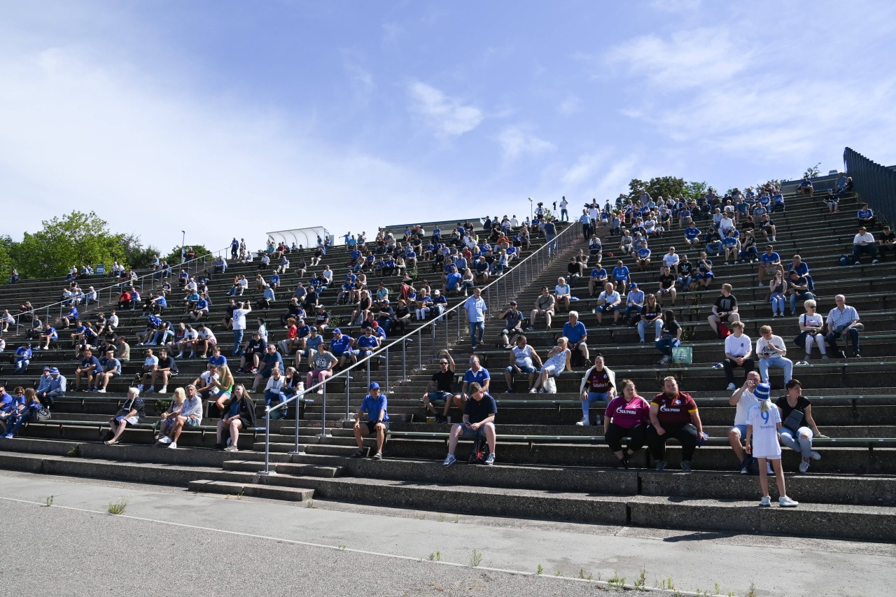 Rund 1000 Schalke-Fans kamen zum Trainingsauftakt.