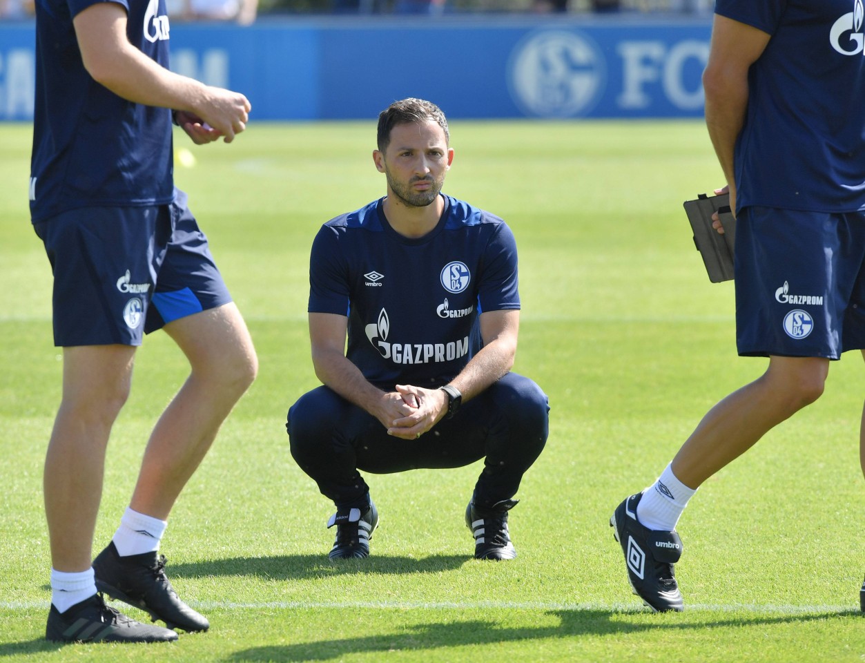 Wie erfolgreich werden Tedesco und Schalke in dieser Saison sein?