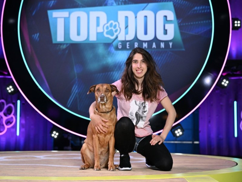 top-dog-silah-hund-huhn.jpg