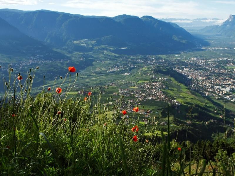 Liebliches Tal: Das milde Klima in Meran lockt auch heute noch Kur-Touristen an.