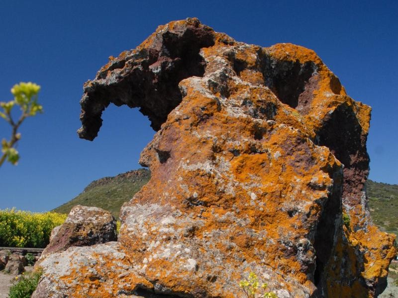 Fotostopp am Straßenrand: Der Roccia dell'elefante ist etwas außerhalb von Castelsardo zu finden.