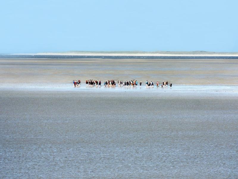 Vor Föhr kann man gut Wattwandern - eine Wanderung führt zum Beispiel zur Nachbarinsel Amrum.