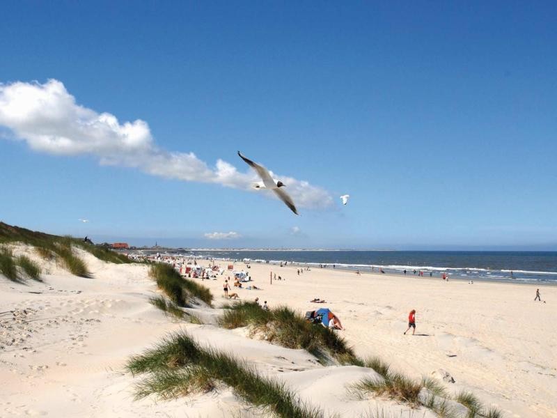 Auf Baltrum ist das Meer nie weit weg und deshalb gerade bei Familien besonders beliebt.