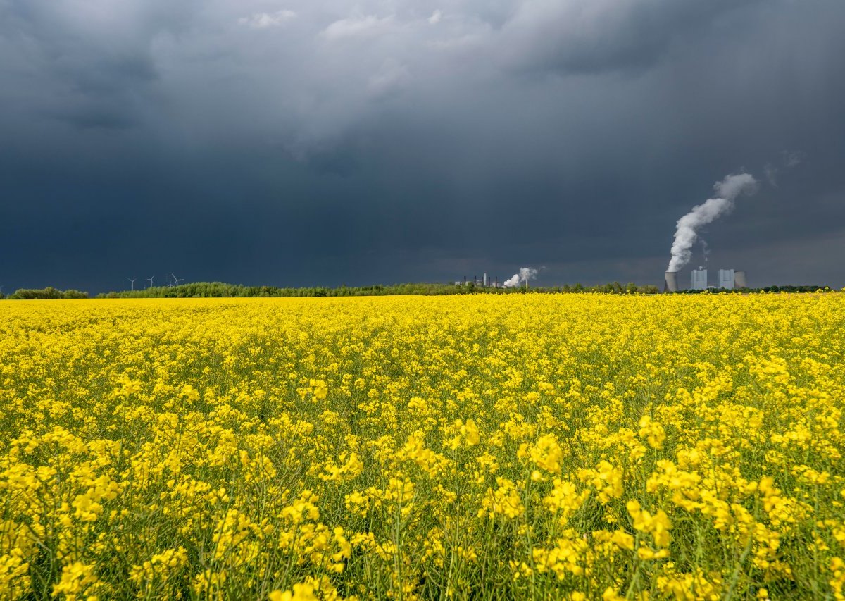 wetter.jpg