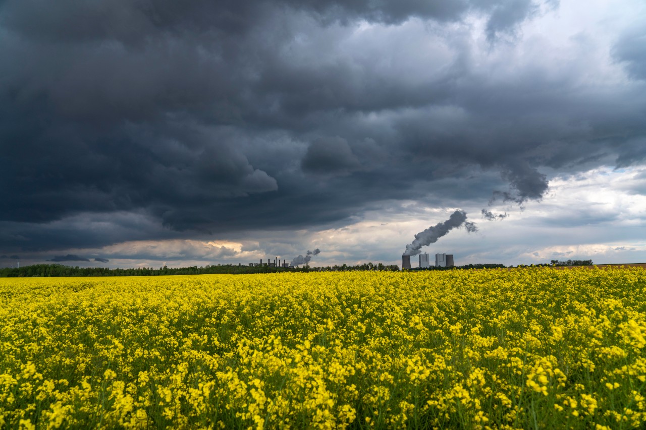 Wetter in NRW: Der DWD warnt vor dem Sturm. (Symbolbild)