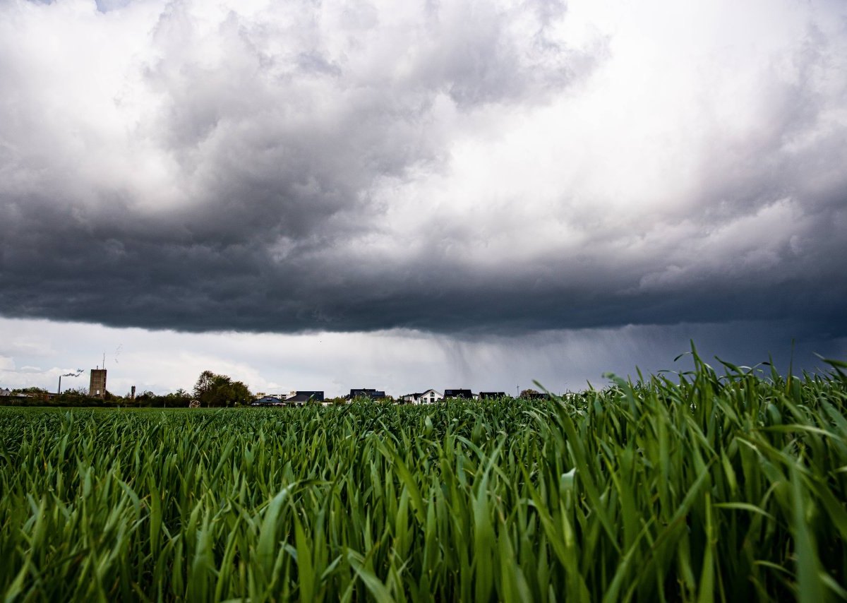 wetter-nrw.jpg