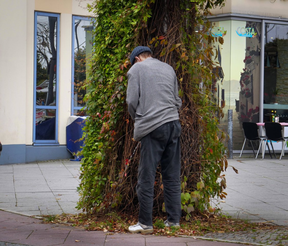 wildpinklerkoeln.jpg