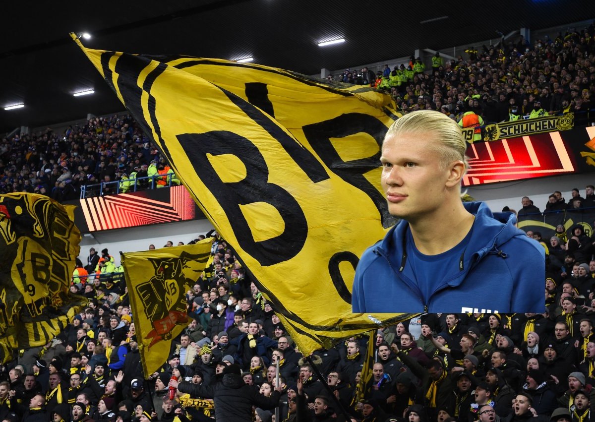 Erling Haaland bvb.jpg