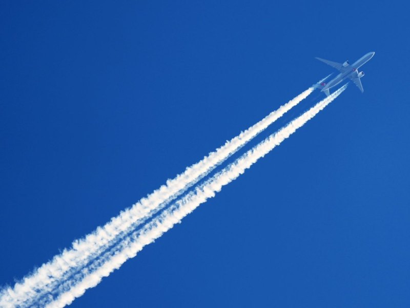Fliegen
