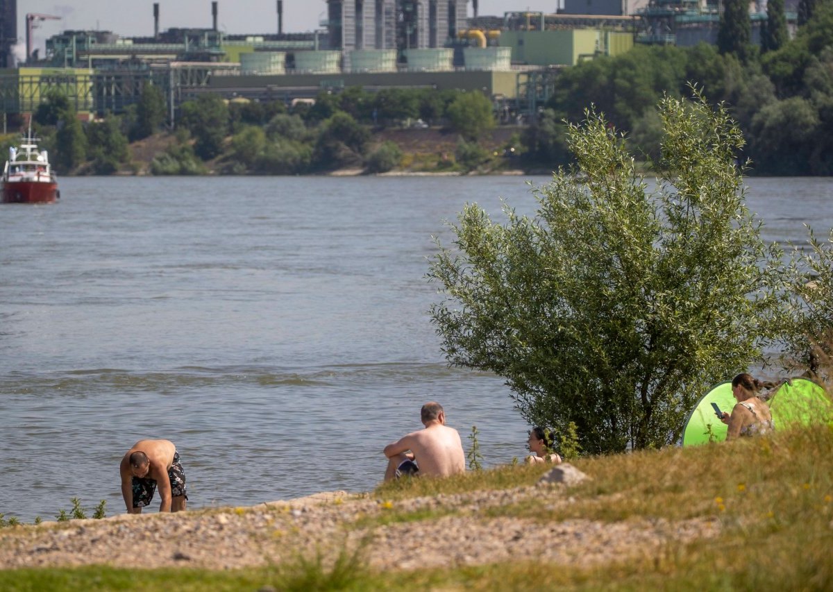 Hitze-Welle in NRW Rhein.jpg