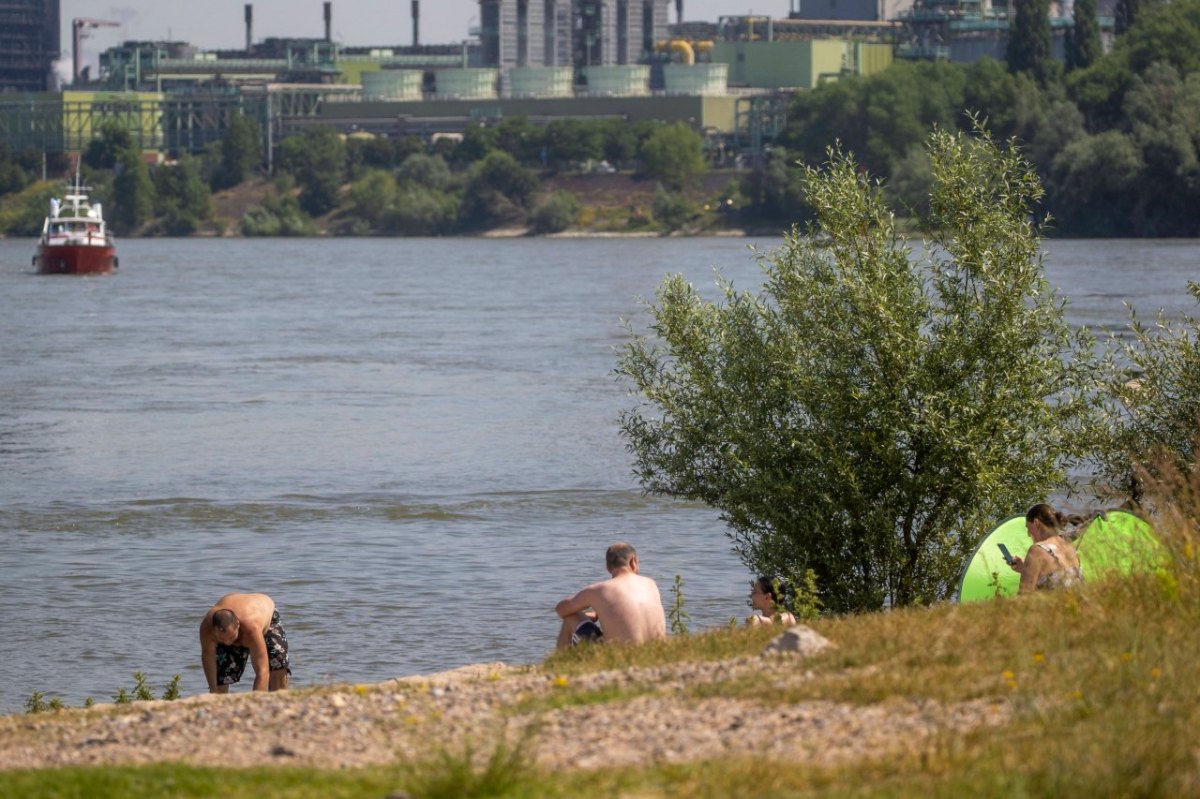 Hitze-Welle in NRW Rhein.jpg