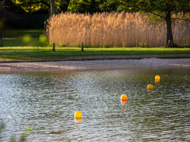 Mülheim-Freibad.jpg