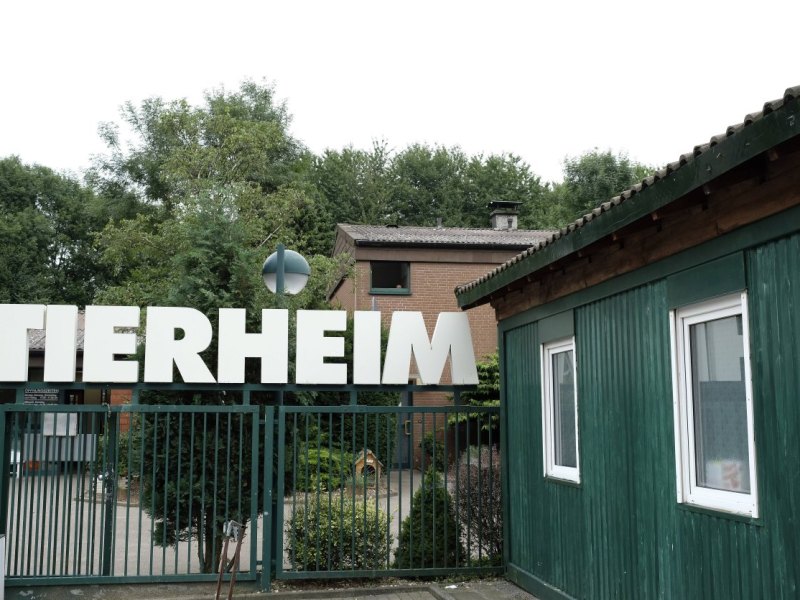 Tierheim_Bochum