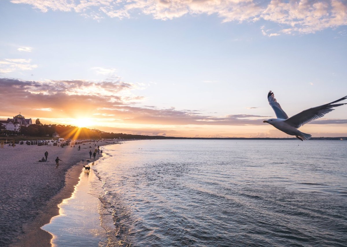 Urlaub-Ostsee-Rügen