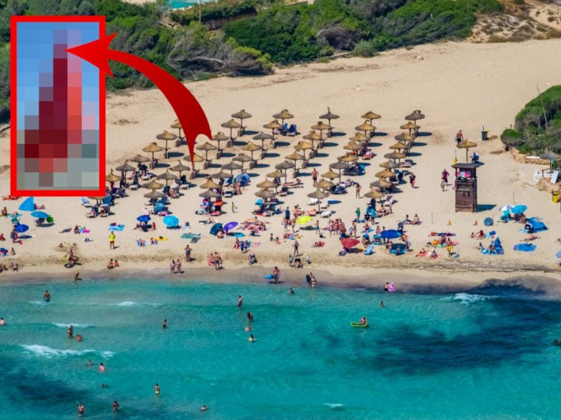 Urlaub auf Mallorca.jpg