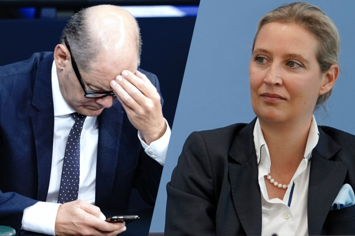 Weidel Scholz