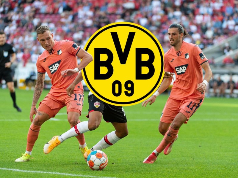 borussia-dortmund-grillitsch.jpg