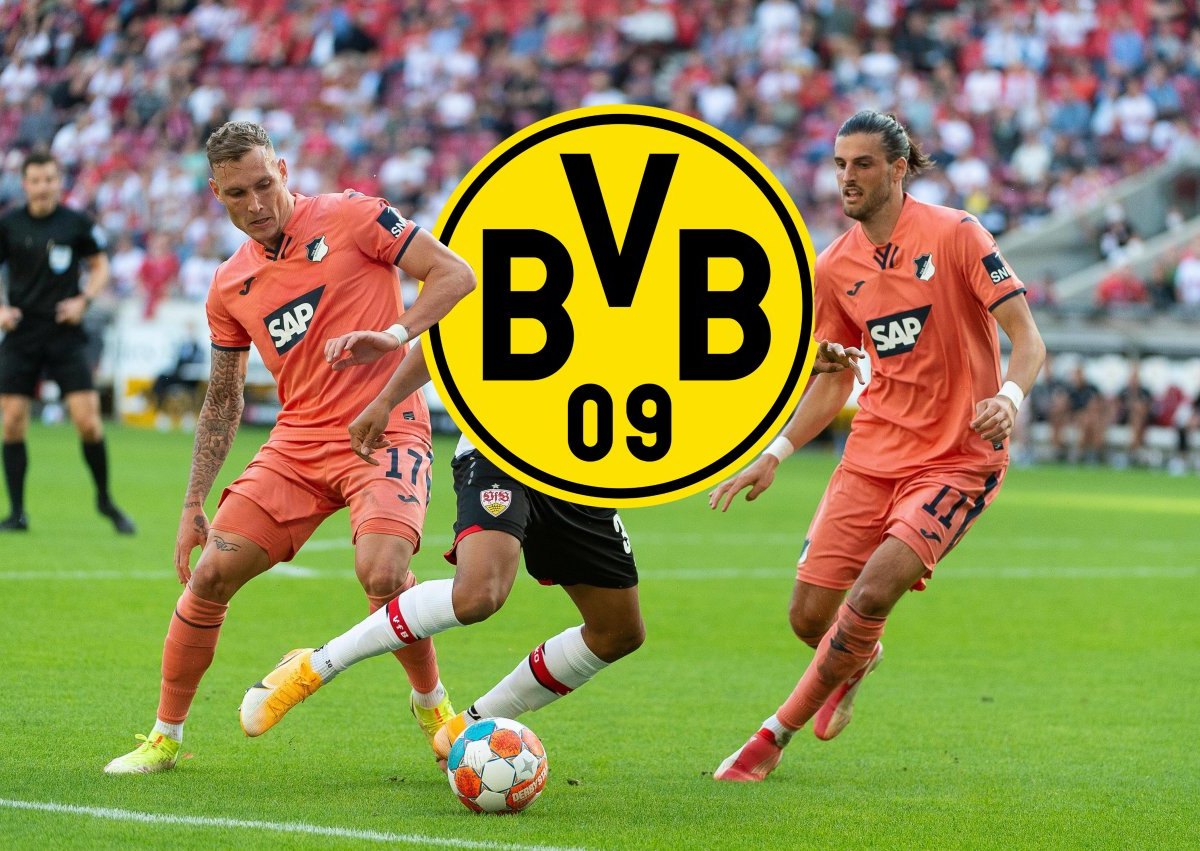 borussia-dortmund-grillitsch.jpg