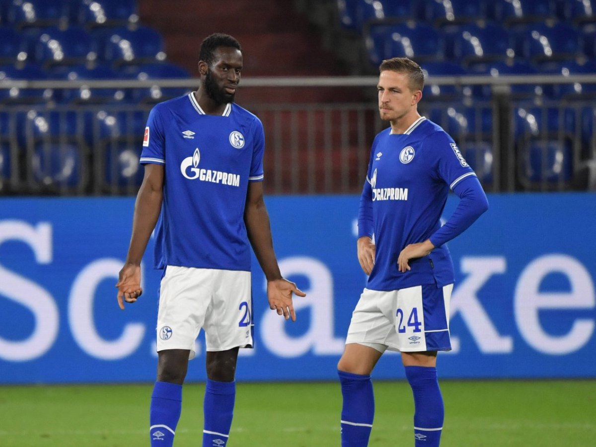 schalke-oczipka.jpg