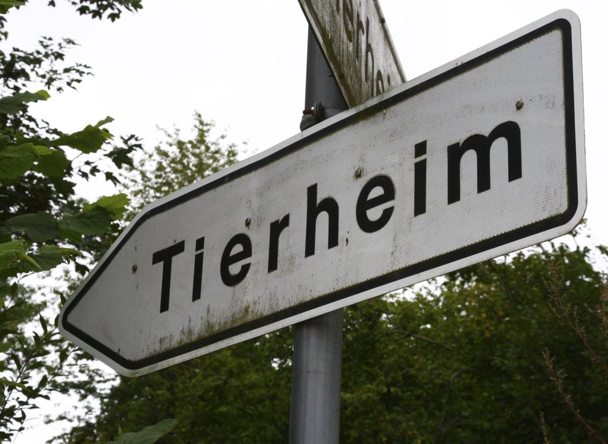 tierheim.jpg