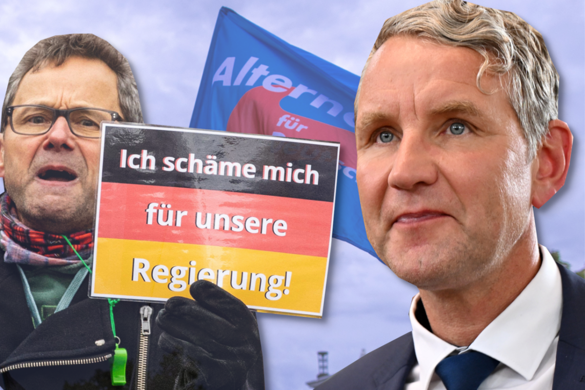 AfD Höcke AfD