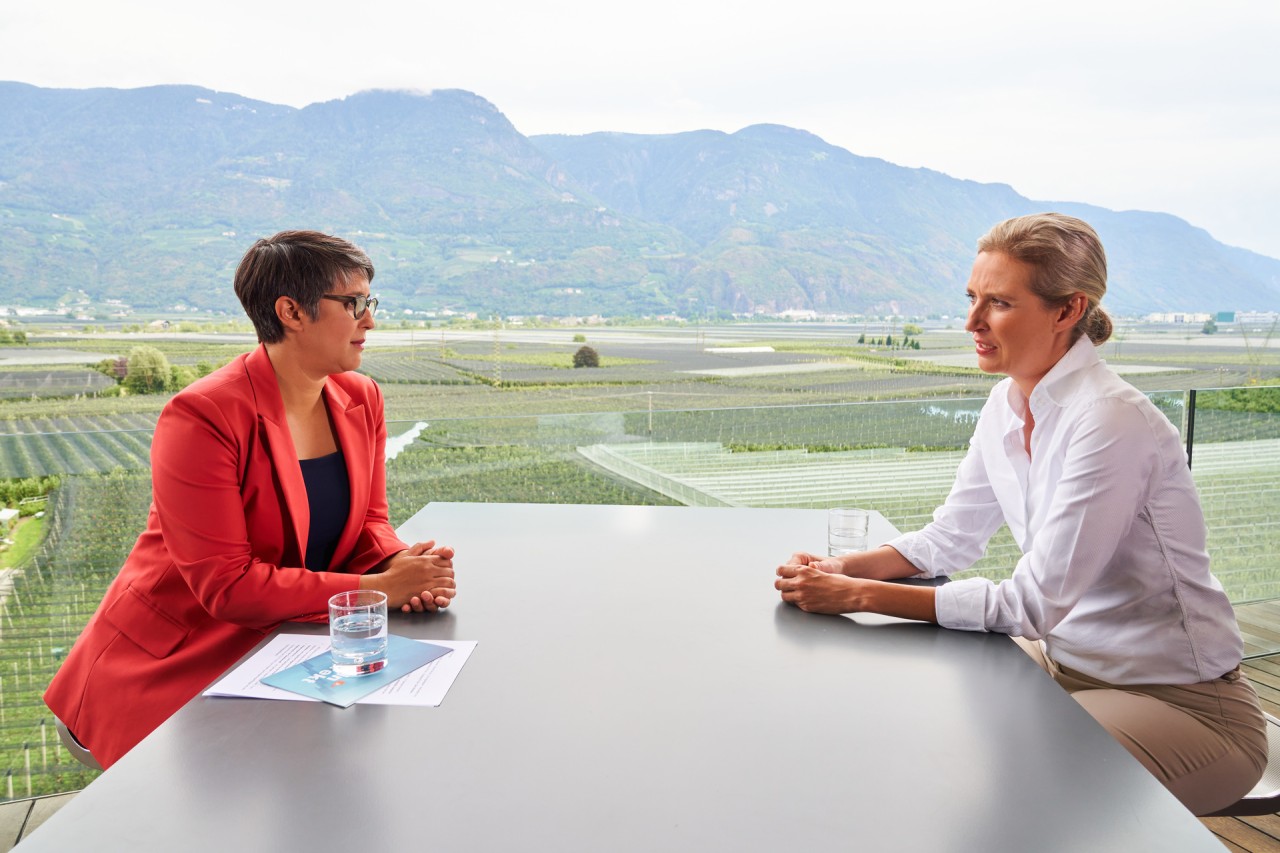 Alice Weidel laviert im Sommerinterview herum, nachdem ihr ZDF-Moderatorin Shakuntala Banerjee eine klare Frage gestellt hat.