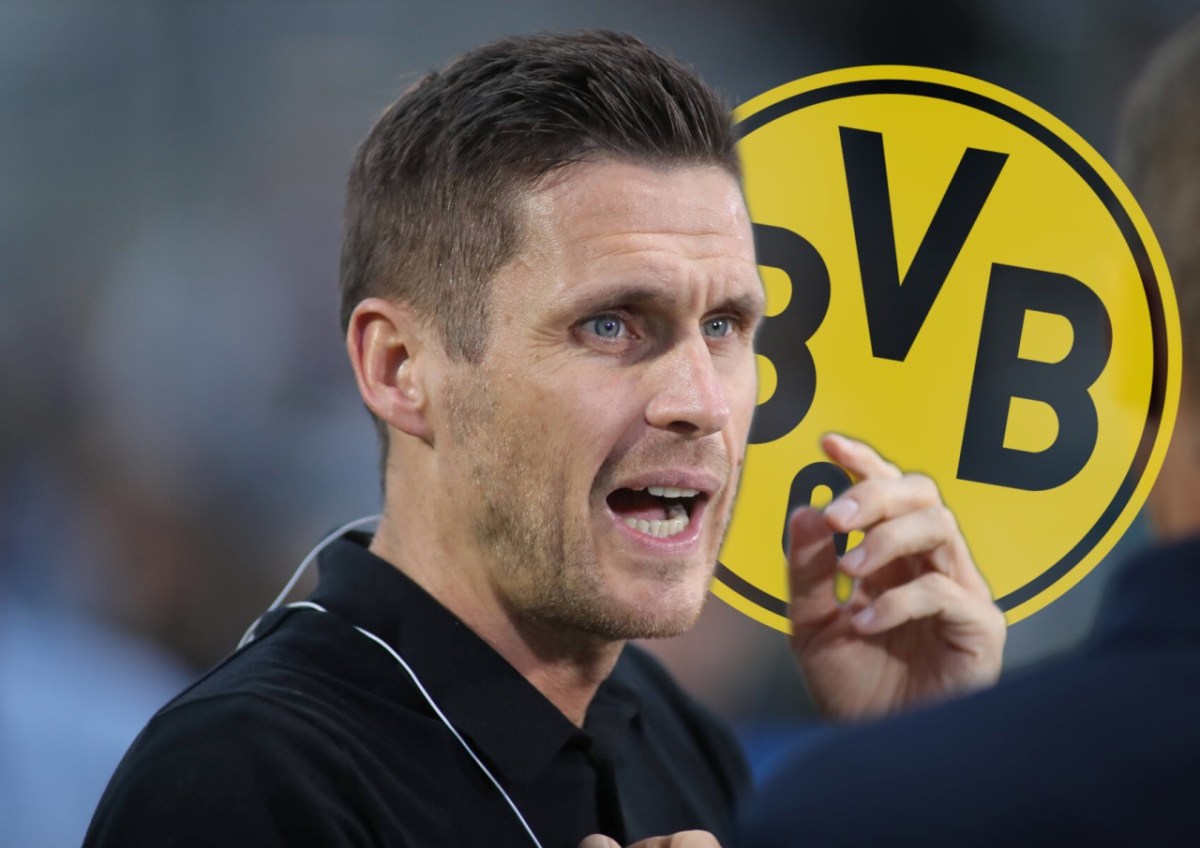 Borussia Dortmund: Sebastian Kehl hat ein Anliegen., Sebastian Kehl mit Anthony Modeste.