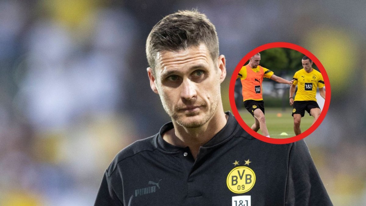 BVB Fink.jpg