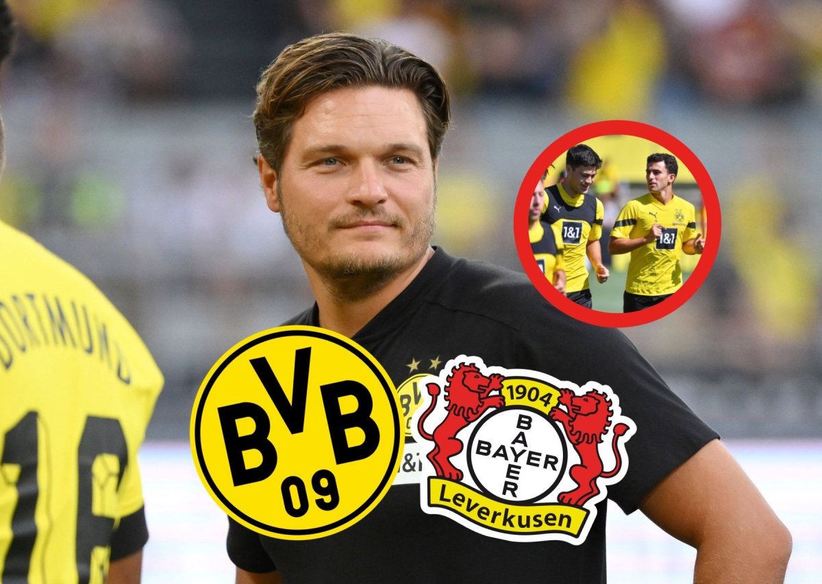 BVB Leverkusen.jpg