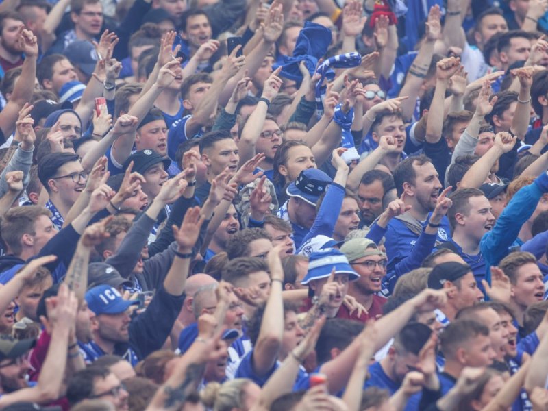 Schalke Fans.jpg