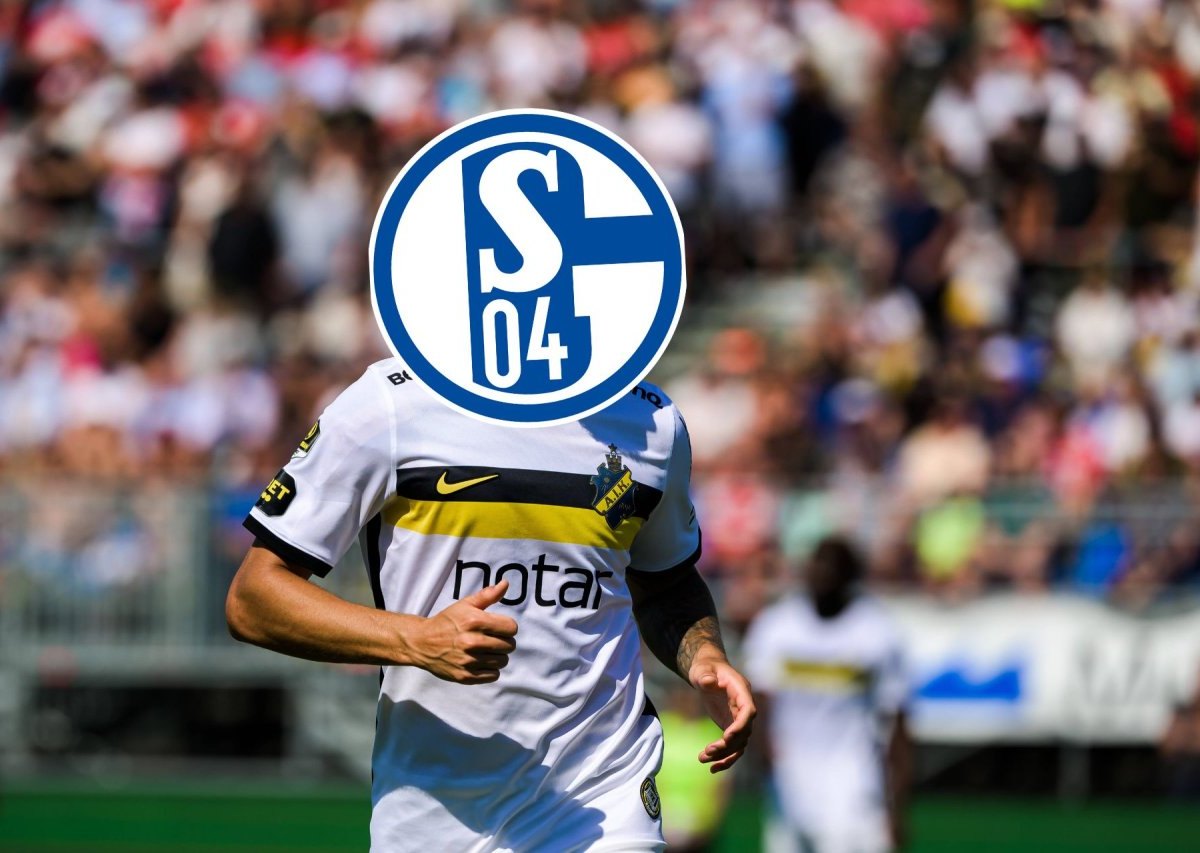 Schalke Larsson.jpg