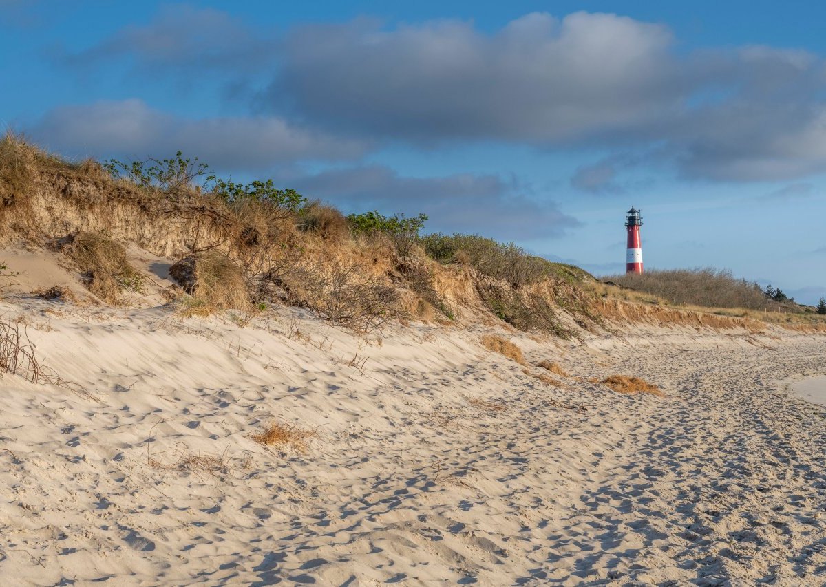 Urlaub an der Nordsee.jpg