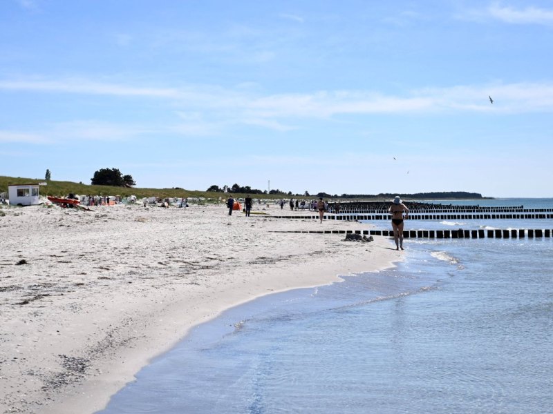Urlaub an der Ostsee.jpg