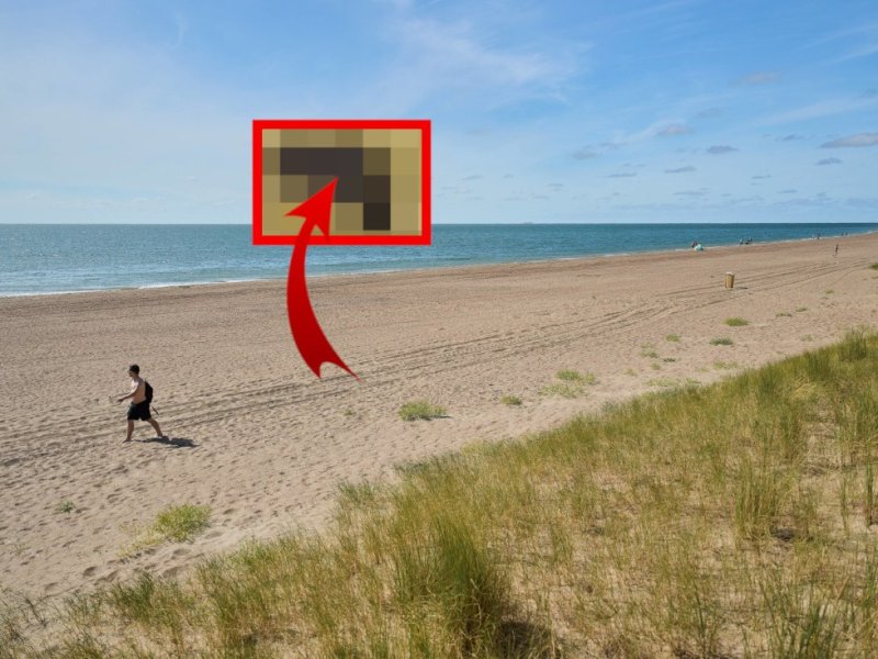 Urlaub in den Niederlanden Hundekot.jpg