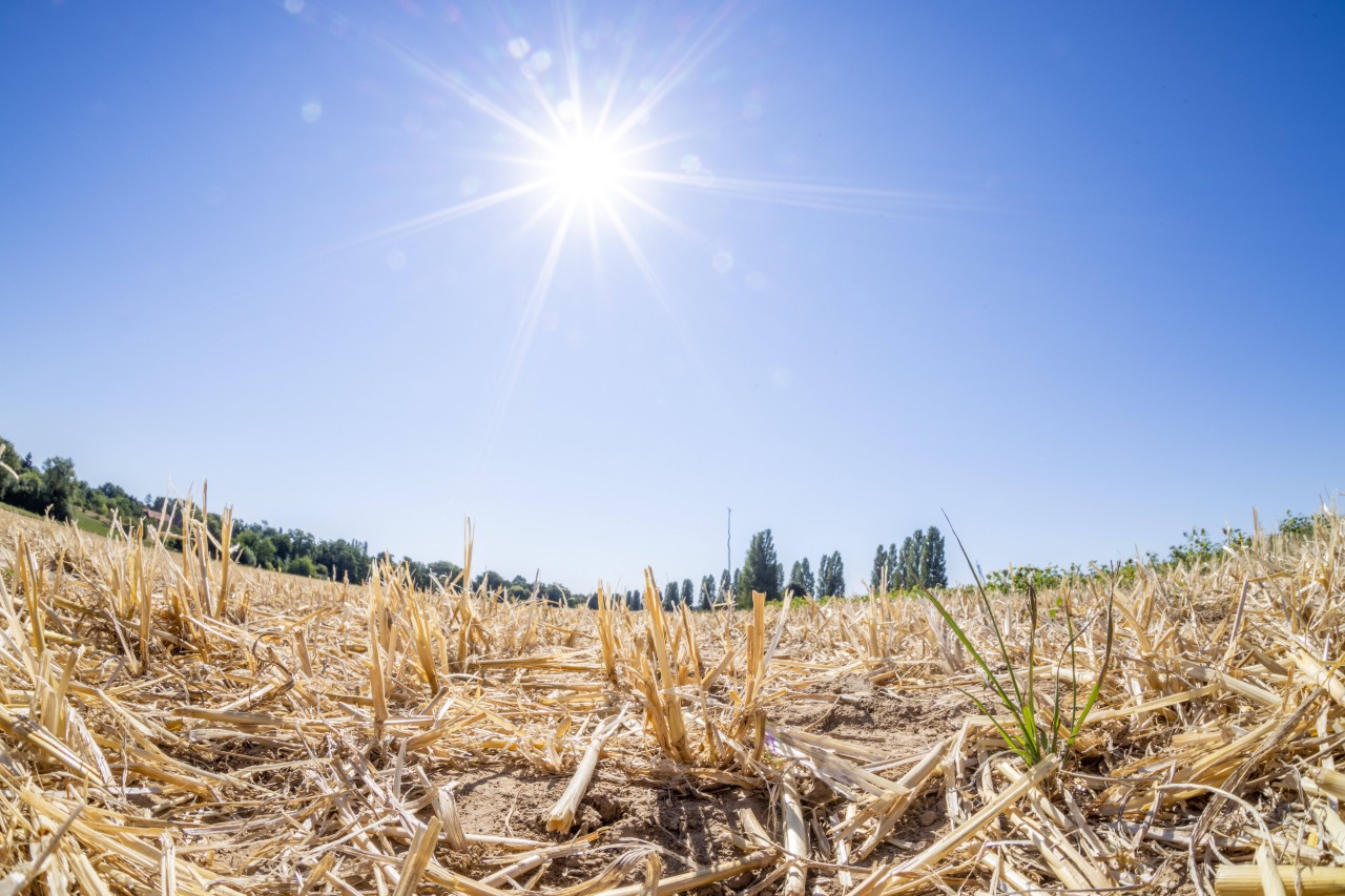 Das Wetter in NRW bringt wieder hohe Temperaturen mit sich. (Symbolbild)